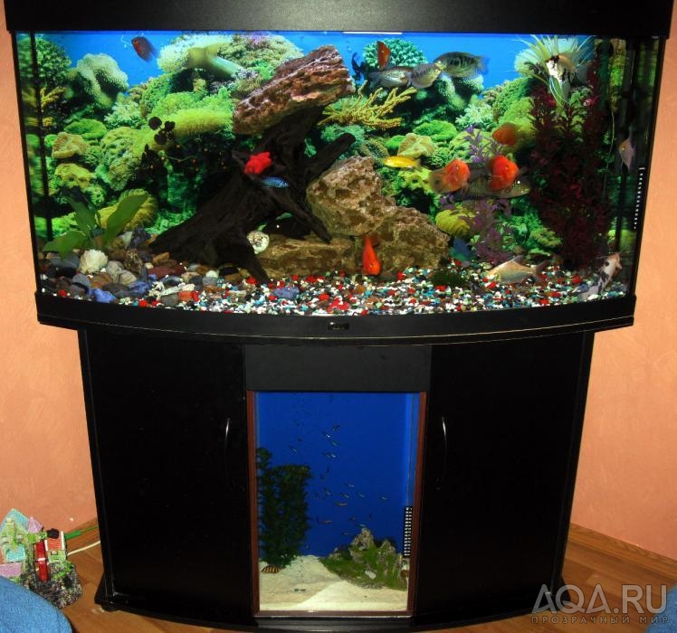 Aqarium250l