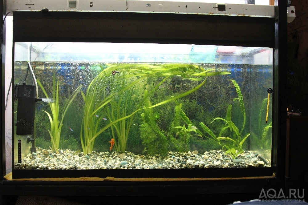 250L