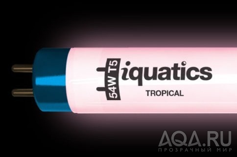 iquatics T5 light tube Tropical