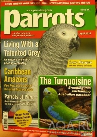 Parrots