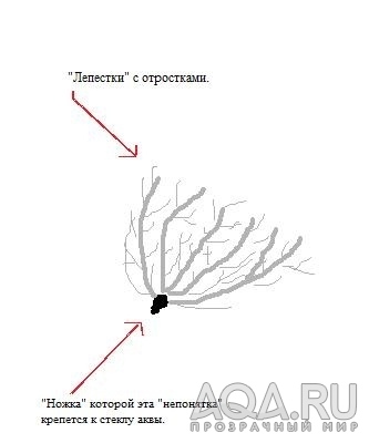 схема