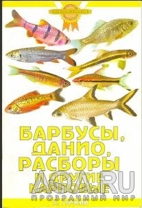 для форума