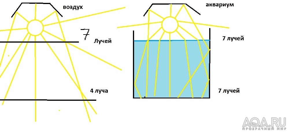 для форума