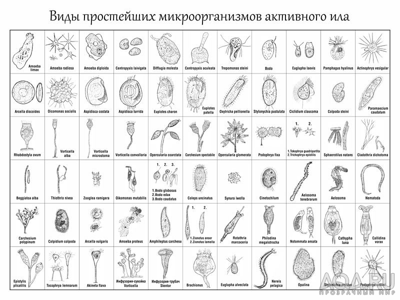 для форума