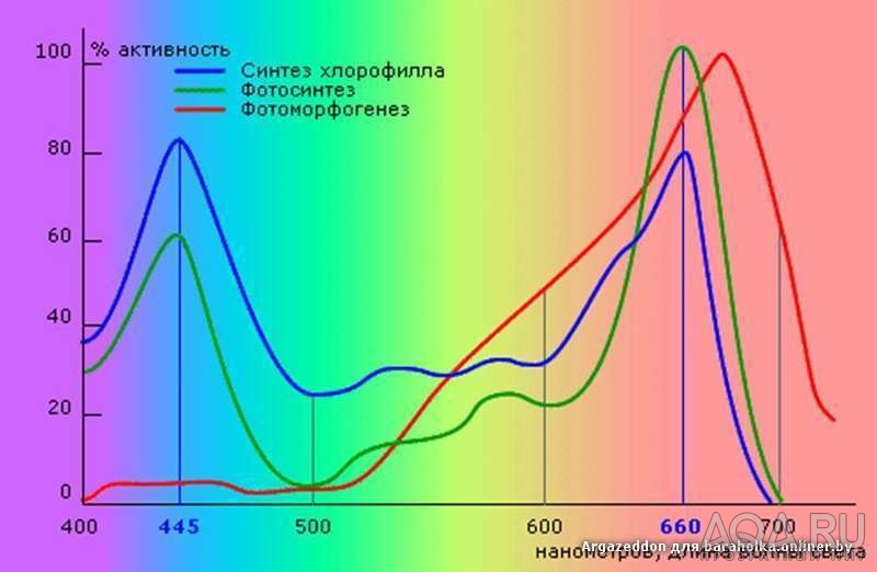 для форума