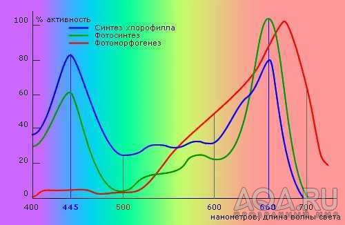 для форума