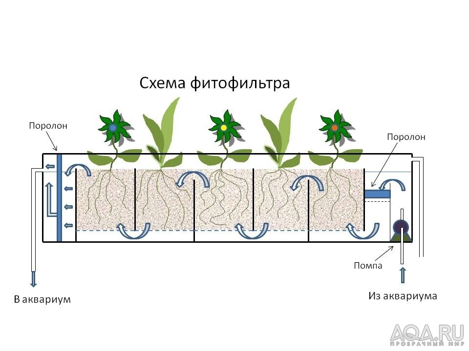 для форума