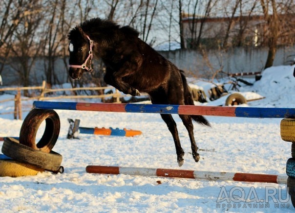 для форума