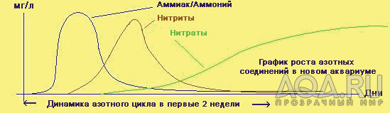 для форума