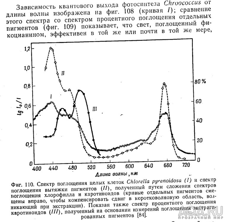 для форума