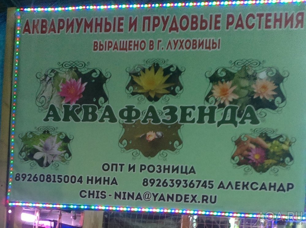 для форума