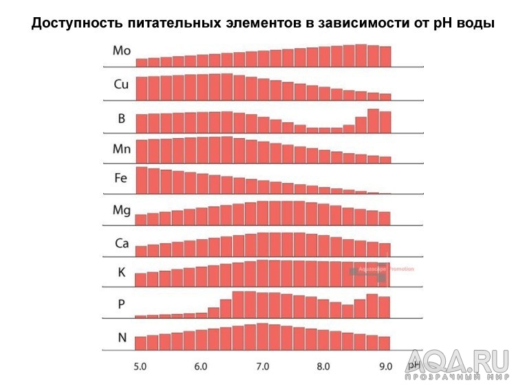 для форума