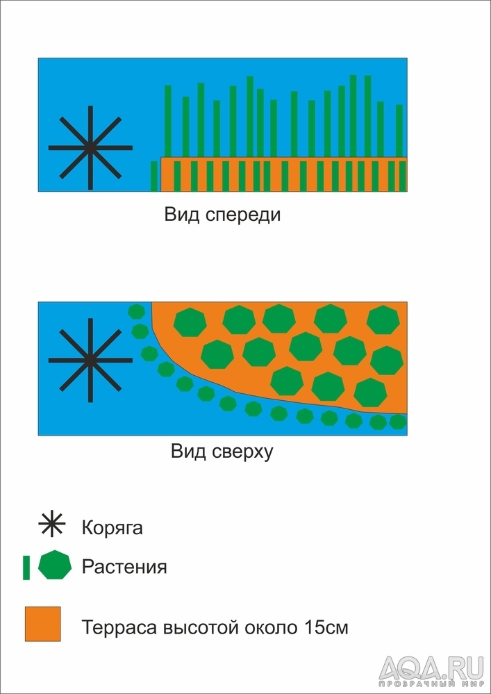 для форума