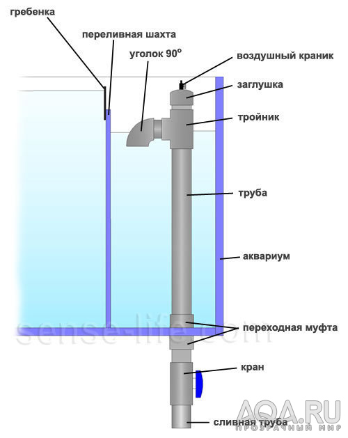 для форума