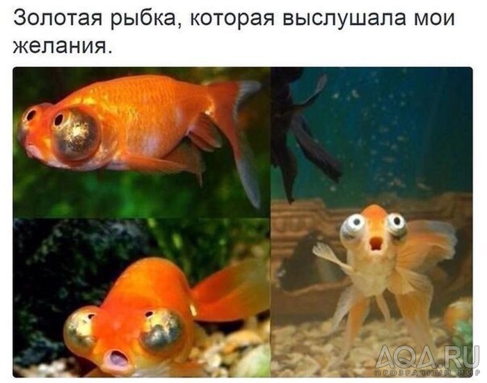 для форума