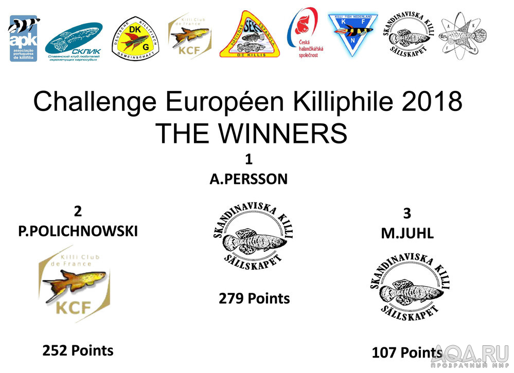 ЕВРОПЕЙСКИЙ ЧЕМПИОНАТ ЛЮБИТЕЛЕЙ КИЛЛИ 2018 ГОДА