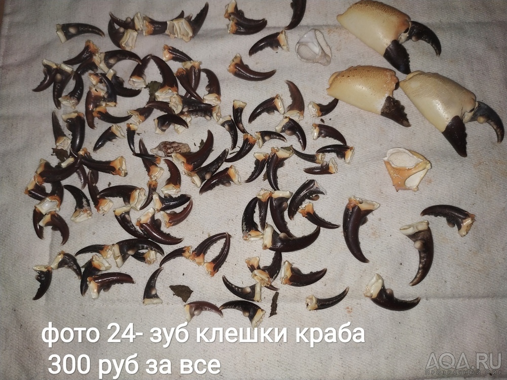 Для продаж