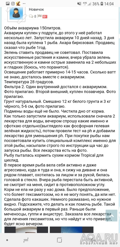 Помогите опознать рыбу пожалуйста