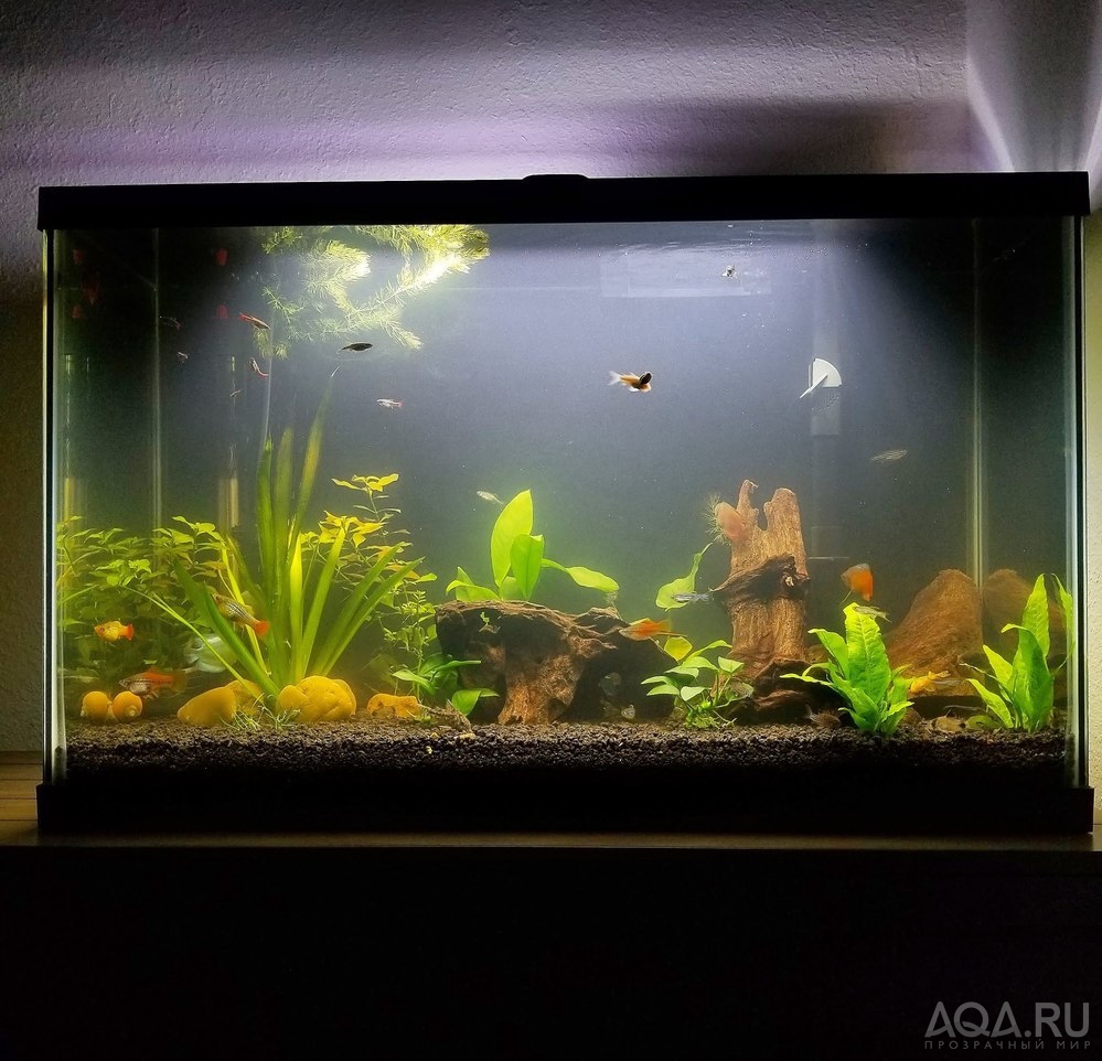 Опыт использования Fluval LED 3.0 Plant Spectrum