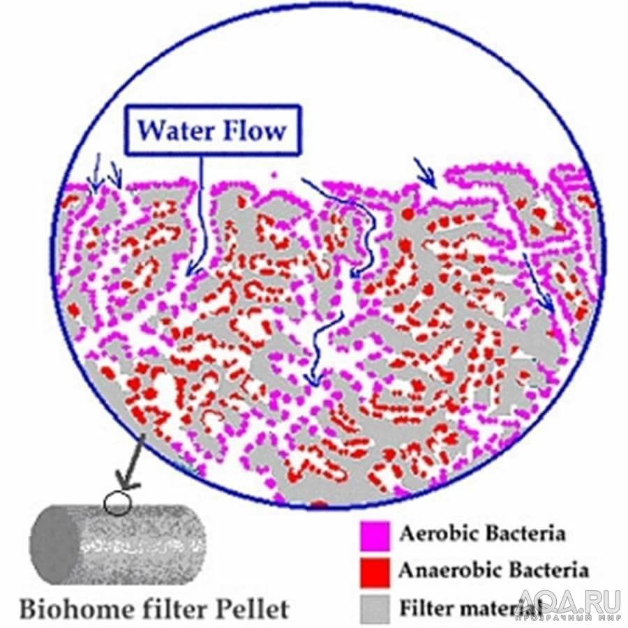 Biohome Ultimate