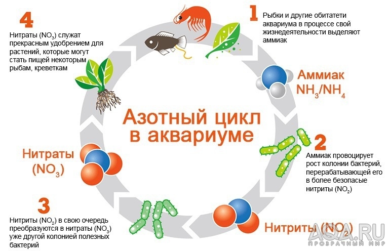 Запуск на грунте бенибаче