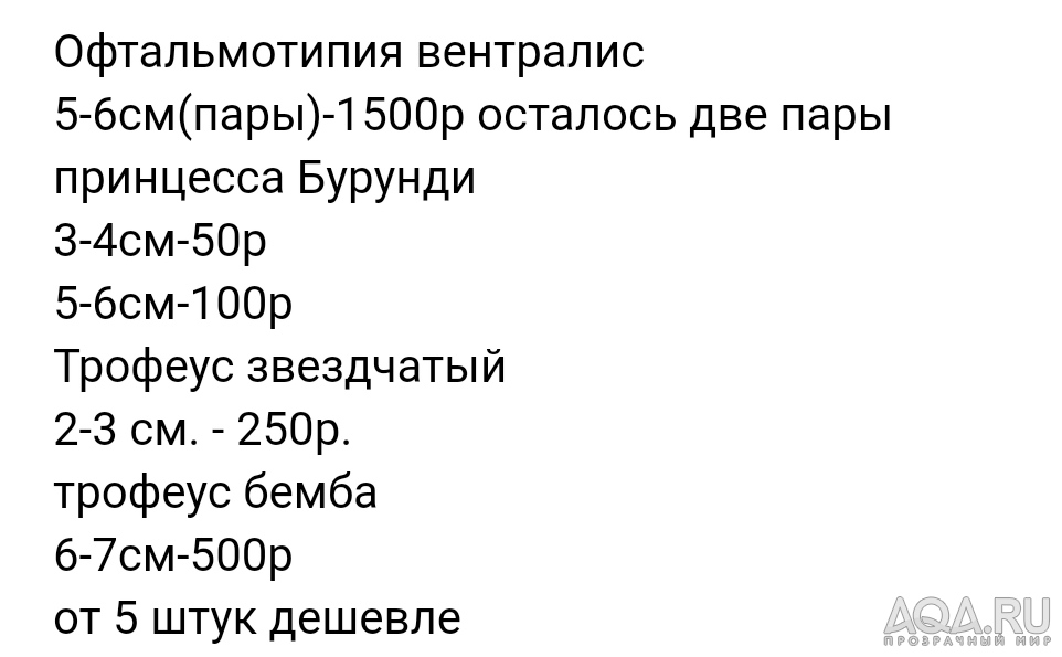 170 оттенков Малави. Дневник моего аквариума.