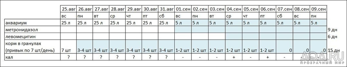 Петушок. На боку, на поверхности. Что делать?