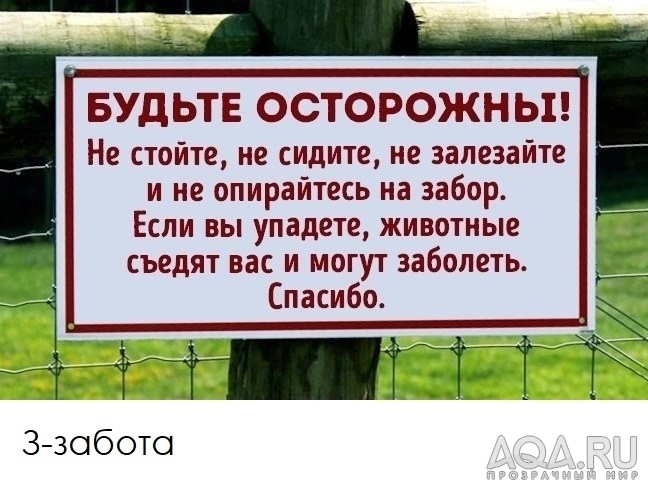 приколы..