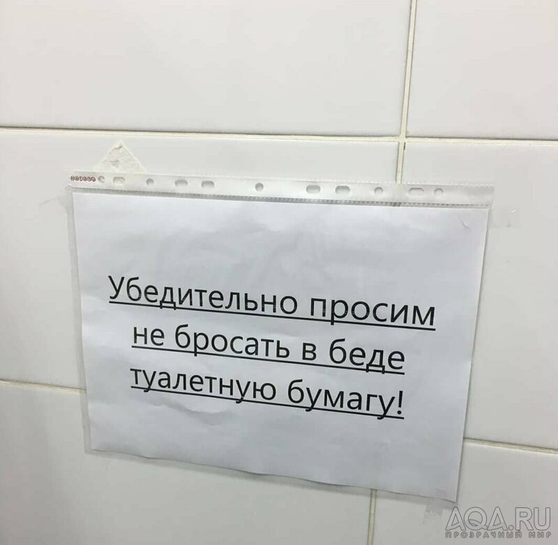 приколы..