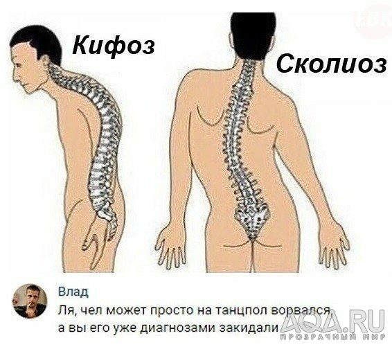 приколы..