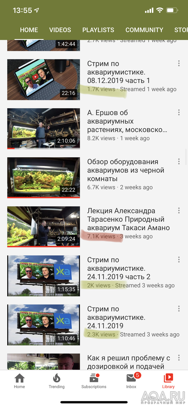 Видео о Природном Аквариуме и продуктах ADA - нужны ли они?