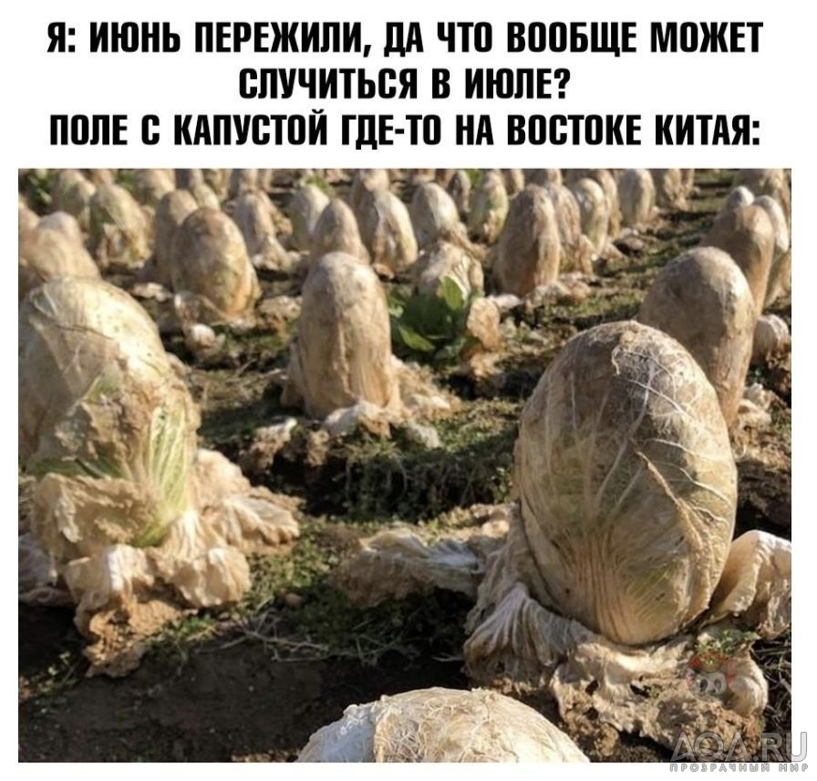 приколы..