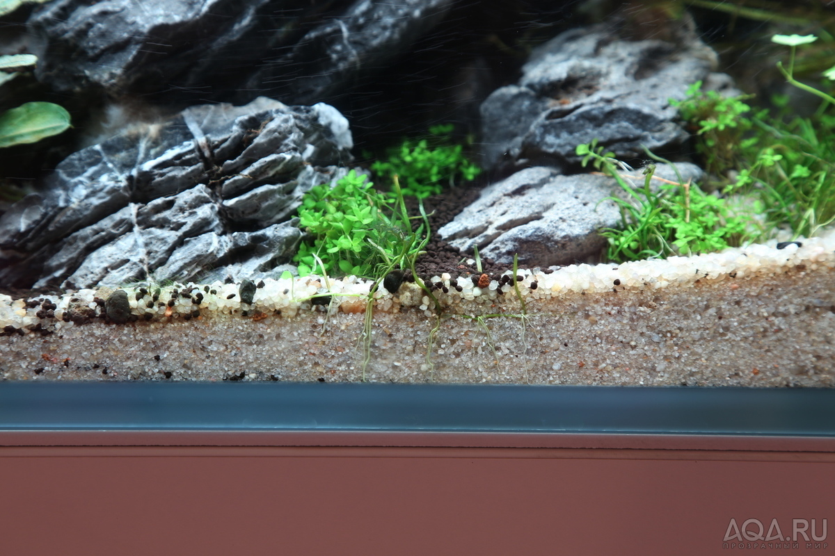 90x45x45 ADA style aquascape