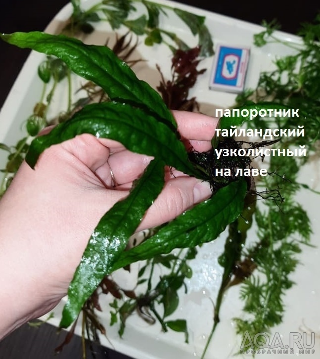 Для продаж