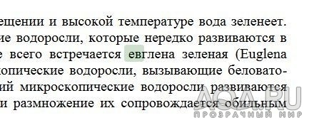 Хроника борьбы с цветением воды, фильтр "блондинка"