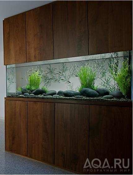 Aquarium Design 1