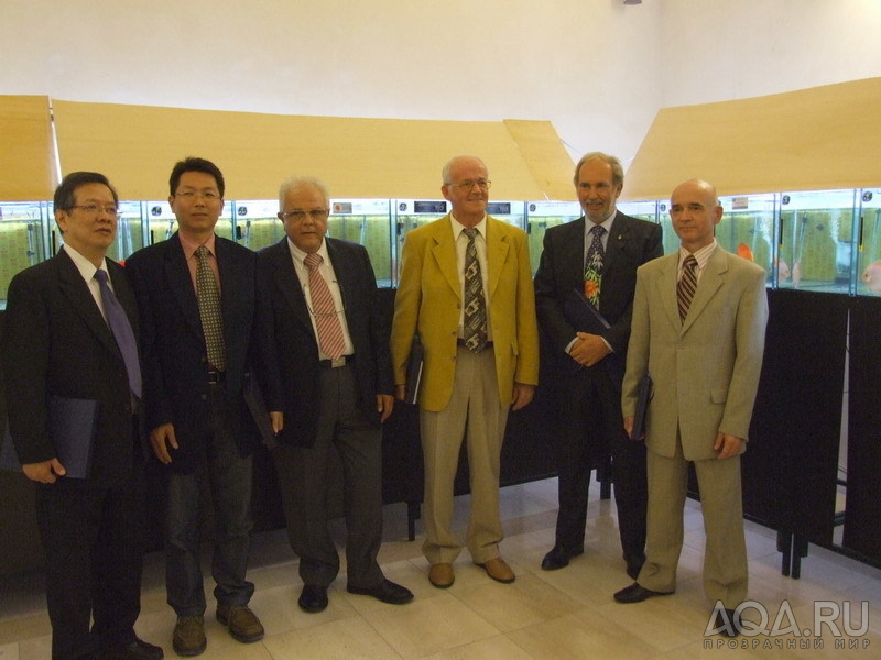 Жюри чемпионата (слева направо) - Доктор Сан, Д.Тан, С.Солано, М.Гёбель, Х.Пир, С.Горюшкин