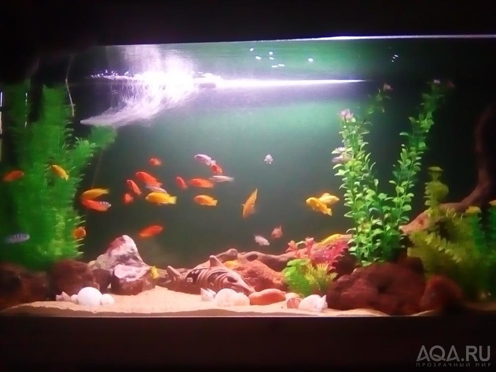 аквариум 200 литров продам