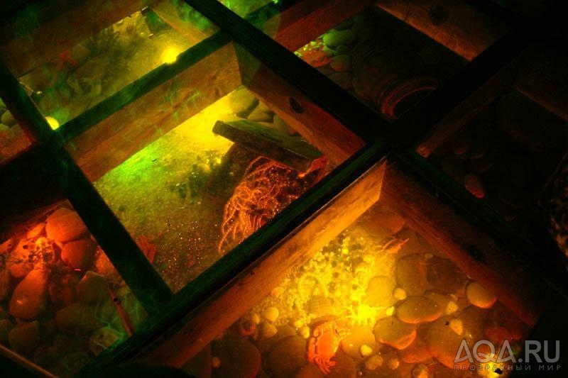 Подпольный аквариум в ресторане Колхидский двор