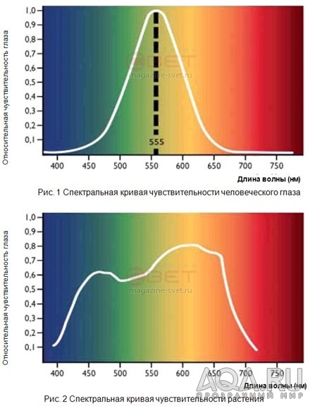 для форума