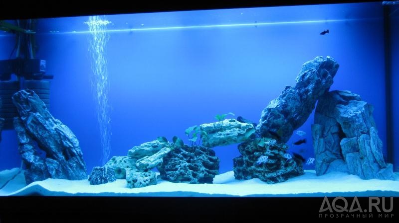 HAGEN Marine Glo + NARVA Oceanic Blue