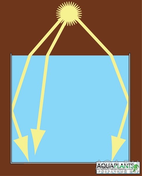 Пути света в аквариуме.