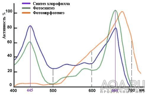 Спектр