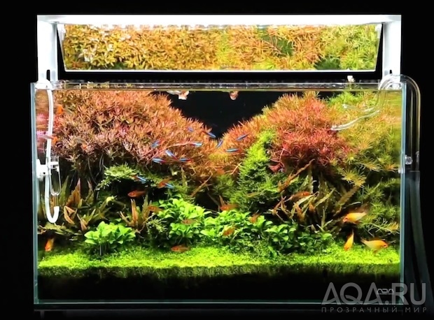 ADA LED Aquasky Moon