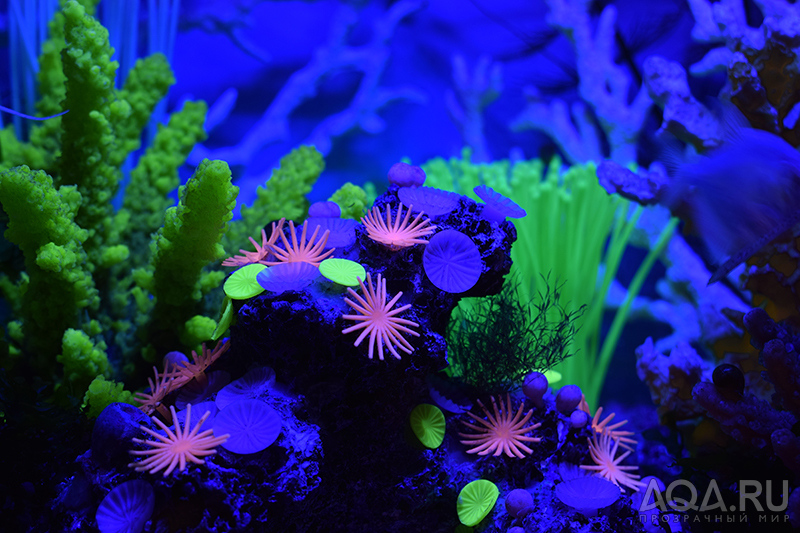 Tetra Glofish Cycle Light