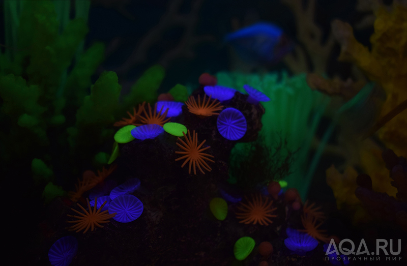 Tetra Glofish Cycle Light