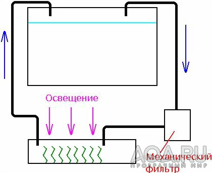 Фитофильтр