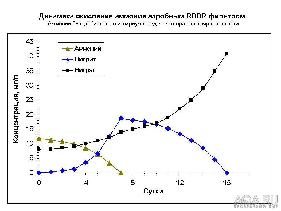 Динамика окисления аммония аэробным RBBR фильтром.