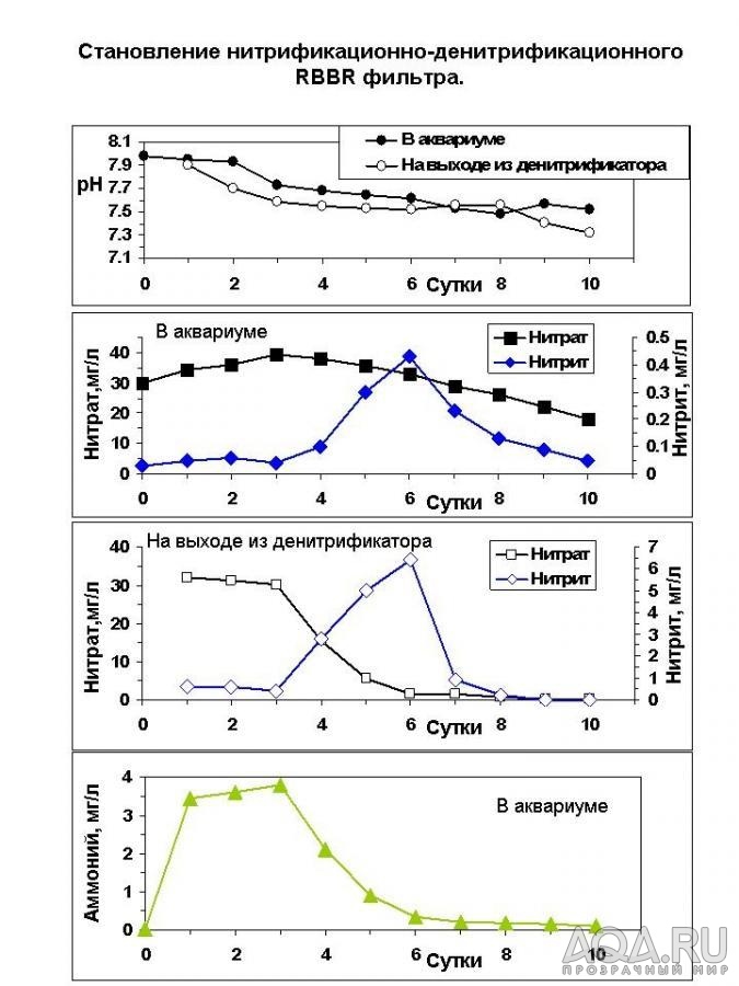 Становление N-DN RBBR фильтра