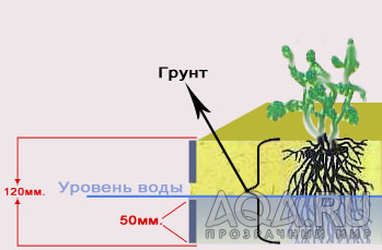 Omar's Refugium WaterLevel2